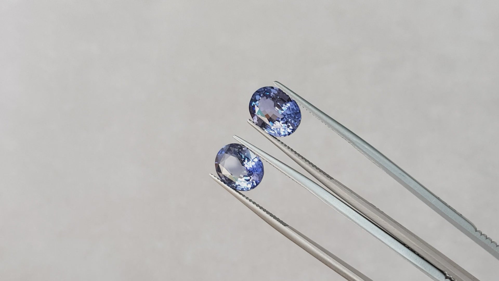 Sapphire Unheated pair earrings