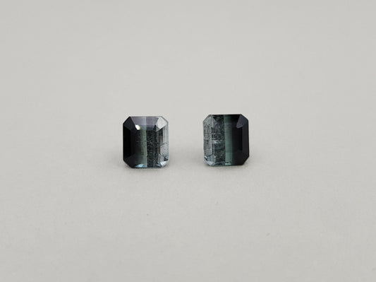 Tourmaline Bi Color weight, ct: 6.01